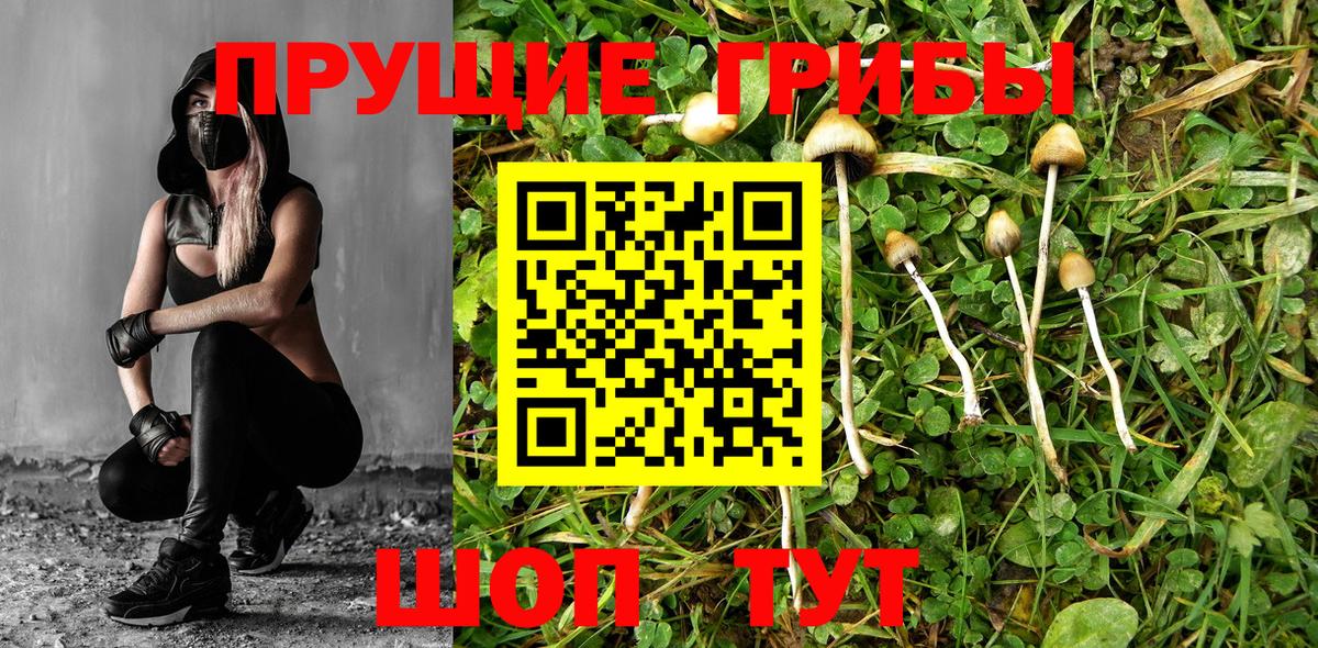 где купить   Галлюциногенные грибы Psilocybe  Кызыл  Вход с VPN  Псилоцибиновые грибы Magic Shrooms 