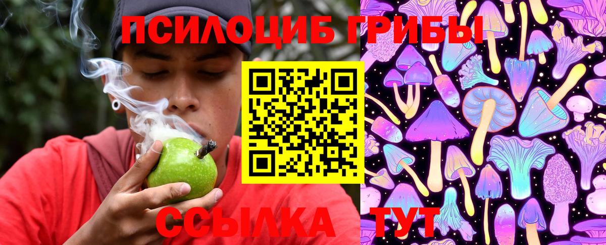 Галлюциногенные грибы Cubensis Кызыл